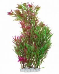 Уют Растение аквариумное Гетерантера зелено-фиолетовая, 44 см