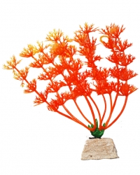 УЮТ Растение аквариумное 10 см , Амбулия оранжевая