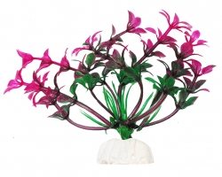 УЮТ Растение аквариумное, 10 см , Гемиантус фиолетово-зеленый