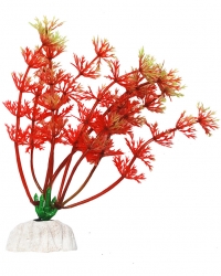 УЮТ Растение аквариумное, 10 см, Амбулия красная