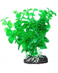 УЮТ Растение аквариумное, 11 см, Бакопа зеленая