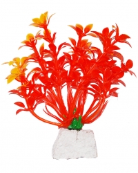 УЮТ Растение аквариумное, 10 см, Гемиантус оранжевый