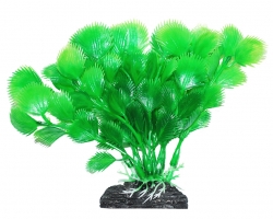 УЮТ Растение аквариумное, 11 см , Дианея зеленая