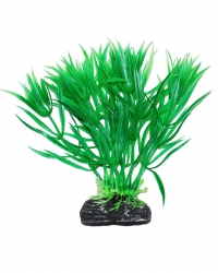 УЮТ Растение аквариумное, 11 см, Гетерантера зеленая