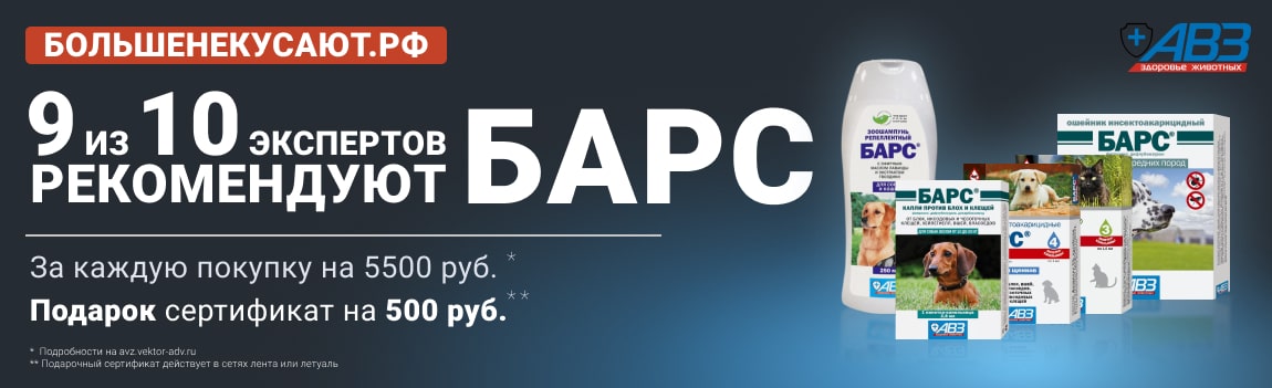АВЗ Барс АВЗ Барс