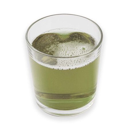 KOMBUCHA VOYAGE+ Напиток на Чайном Грибе Цитрус и Мята 0,555л KOMBUCHA VOYAGE+ Напиток на Чайном Грибе Цитрус и Мята 0,555л