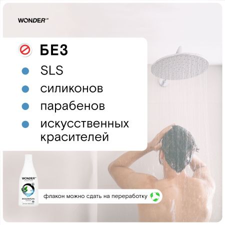 WonderLab Экошампунь Мужской 2 в 1 для всех типов волос 0,55 л
