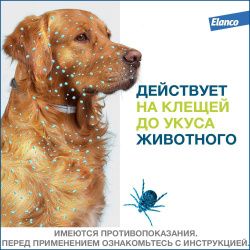 Форесто ошейник для собак весом до 8 кг (длина 38см)
