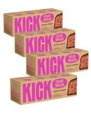 KICK YOUR BRAIN Батончик Финиковый с Клюквой в Шоколаде 45гр-4шт.