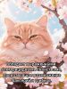 Наполнитель N1 Crystals Sakura Силикагель 5л