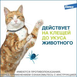 Форесто ошейник для кошек (длина 38см)
