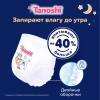 Tanoshi Ночные Трусики-подгузники ХL (20шт) 12-22кг Tanoshi Ночные Трусики-подгузники ХL (20шт) 12-22кг