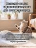 Наполнитель Барсик 100% SILICA GEL 19 кг 19кг