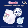 Tanoshi Ночные Трусики-подгузники L (22 шт) 9-14кг Tanoshi Ночные Трусики-подгузники L (22 шт) 9-14кг