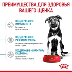 Роял Канин Макси Паппи для щенков круп.пород с 2-15мес. 15 кг