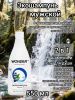 WonderLab Экошампунь Мужской 2 в 1 для всех типов волос 0,55 л -2 шт