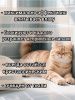 Наполнитель N1 Crystals Силикагелевый 12,5л (Подарок в упаковке)