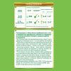 NESTOGEN -2 {3 350г} Молочная Смесь {с 6 мес} с Пребиотиками и Лактобактериями 1050г.